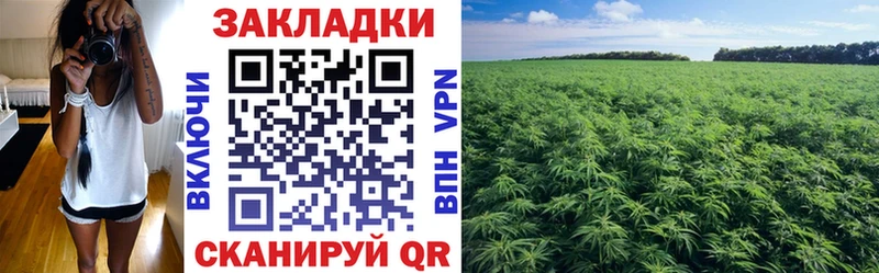 Где купить наркоту Новоуральск Каннабис  Псилоцибиновые грибы  ГАШ  A PVP 