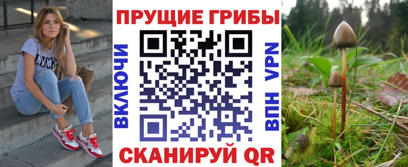 Псилоцибиновые грибы GOLDEN TEACHER как найти наркотики МЕГА ONION Новоуральск